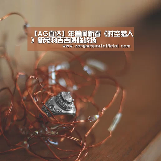 【AG直达】年兽闹新春《时空猎人》新宠物吉吉降临战场(图2) AG捕鱼