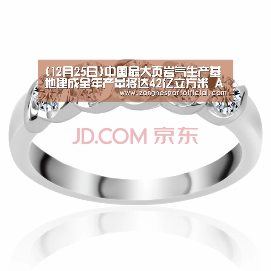 (12月25日)中国最大页岩气生产基地建成全年产量将达42亿立方米_AG捕鱼(图1) AG捕鱼
