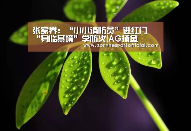 张家界:“小小消防员”进红门 “身临其境”学防火|AG捕鱼(图4) AG捕鱼