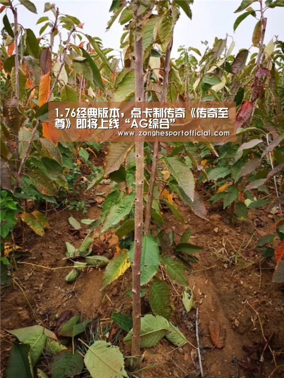1.76经典版本,点卡制传奇《传奇至尊》即将上线“AG综合”(图4) AG综合