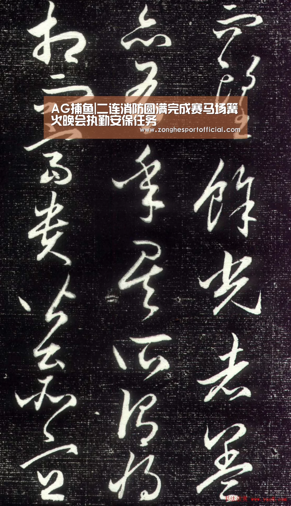 AG捕鱼|二连消防圆满完成赛马场篝火晚会执勤安保任务(图3) AG综合