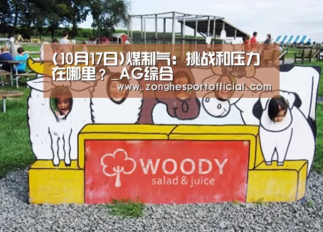 (10月17日)煤制气:挑战和压力在哪里?_AG综合(图2) AG棋牌