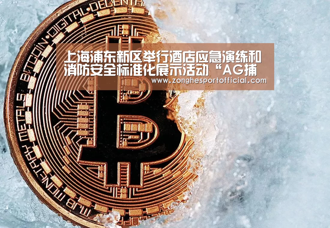 上海浦东新区举行酒店应急演练和消防安全标准化展示活动“AG捕鱼”(图1) AG直达