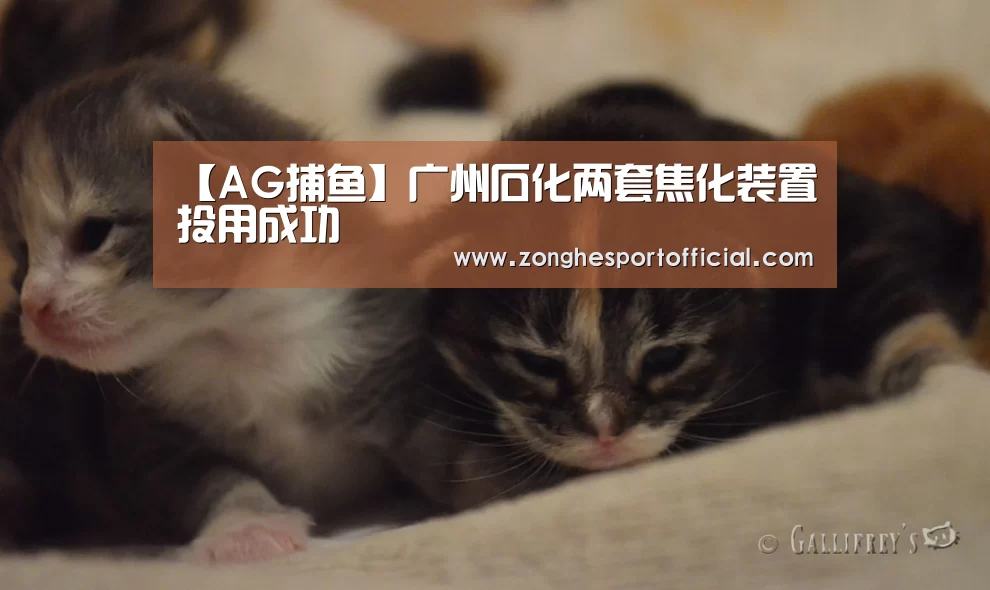 【AG捕鱼】广州石化两套焦化装置投用成功(图2) AG直达
