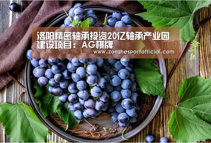 洛阳精密轴承投资20亿轴承产业园建设项目:AG棋牌(图4) AG捕鱼