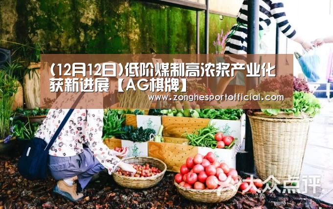 (12月12日)低阶煤制高浓浆产业化获新进展【AG棋牌】(图3) AG综合