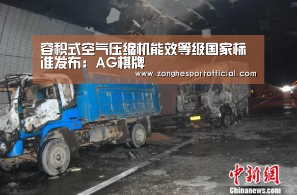 容积式空气压缩机能效等级国家标准发布:AG棋牌(图3) AG直达