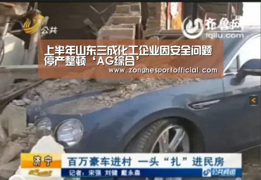 上半年山东三成化工企业因安全问题停产整顿‘AG综合’(图3) AG直达