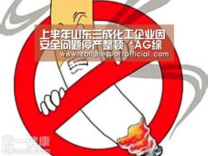 上半年山东三成化工企业因安全问题停产整顿‘AG综合’(图1) AG棋牌
