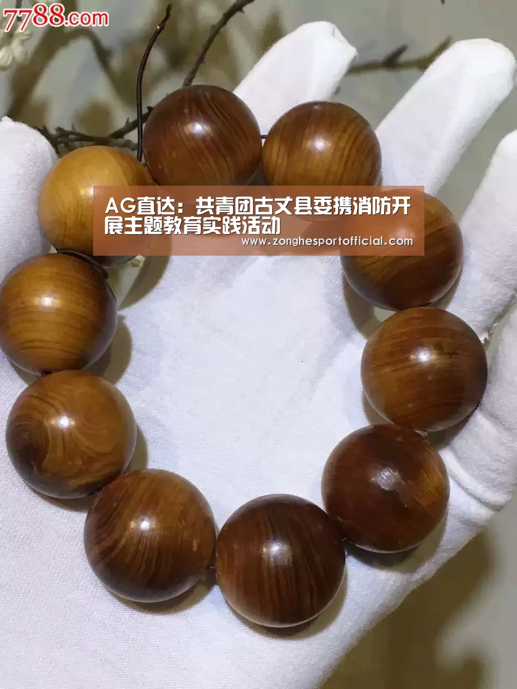 AG直达:共青团古丈县委携消防开展主题教育实践活动(图3) AG直达