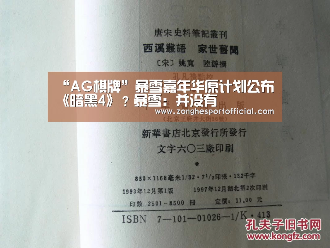 “AG棋牌”暴雪嘉年华原计划公布《暗黑4》?暴雪:并没有(图1) AG棋牌